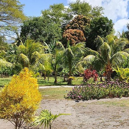 Rancho Tranquillo Vandrehjem Moyogalpa Eksteriør billede