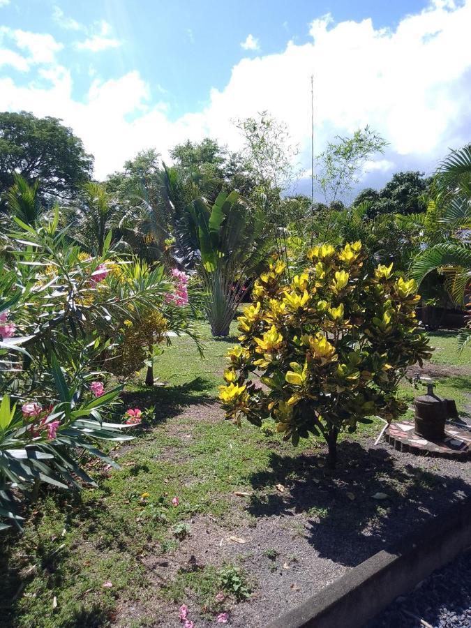Rancho Tranquillo Vandrehjem Moyogalpa Eksteriør billede