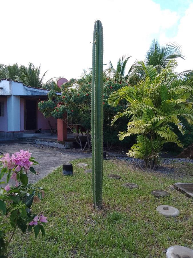 Rancho Tranquillo Vandrehjem Moyogalpa Eksteriør billede