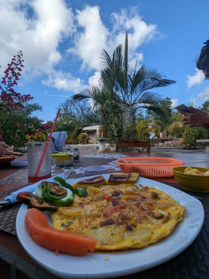 Rancho Tranquillo Vandrehjem Moyogalpa Eksteriør billede
